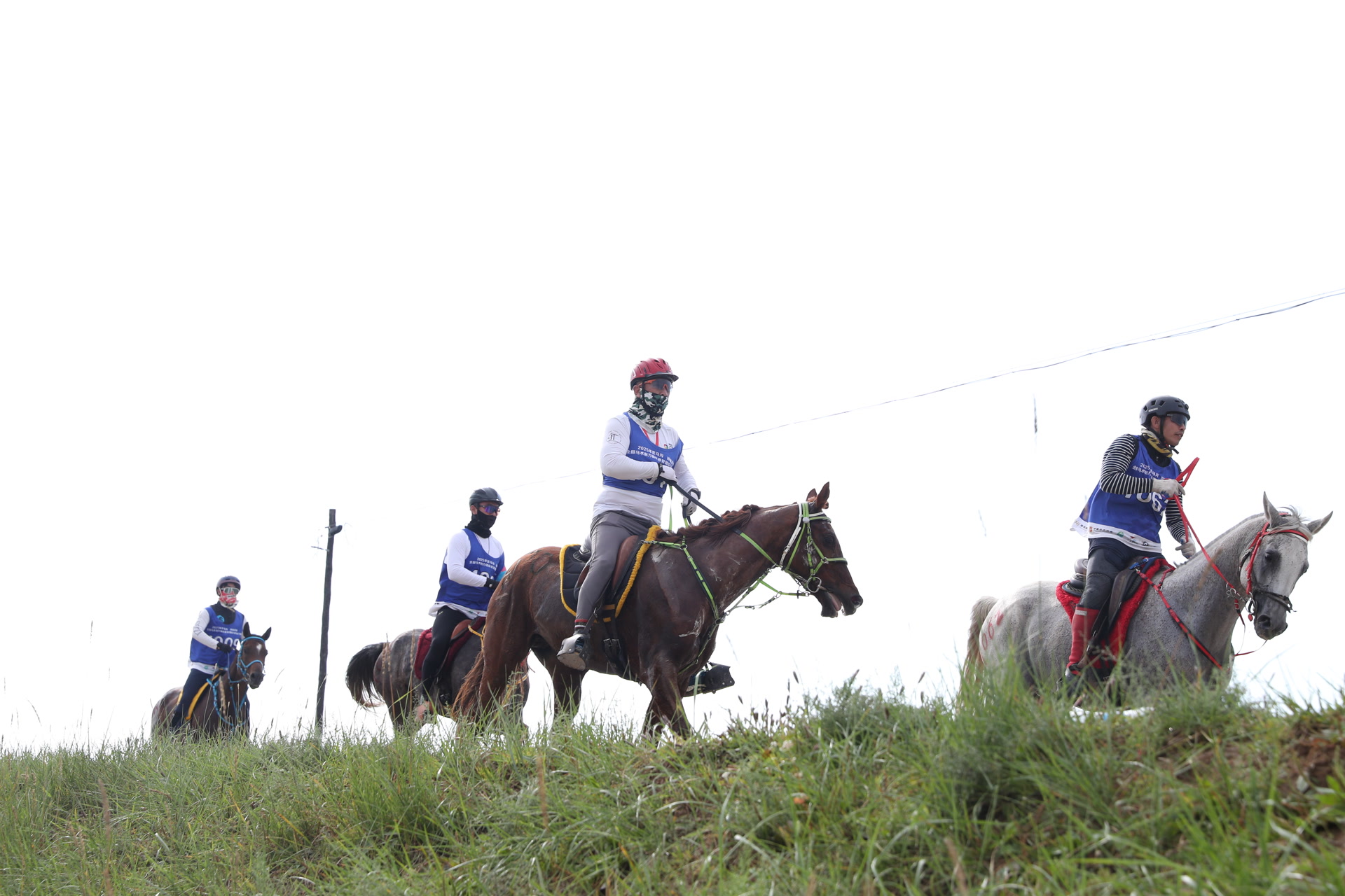 坡度, 为赛事的公, 全国马术耐