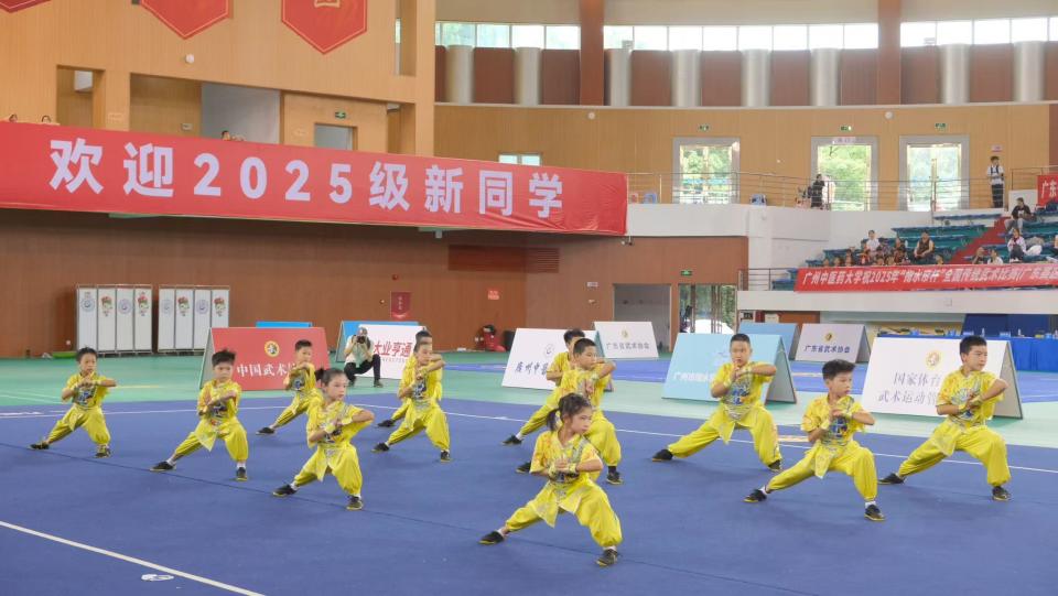 了中华武术, 科技有限公, 公司董事长 了中华武术, 科技有限公, 公司董事长