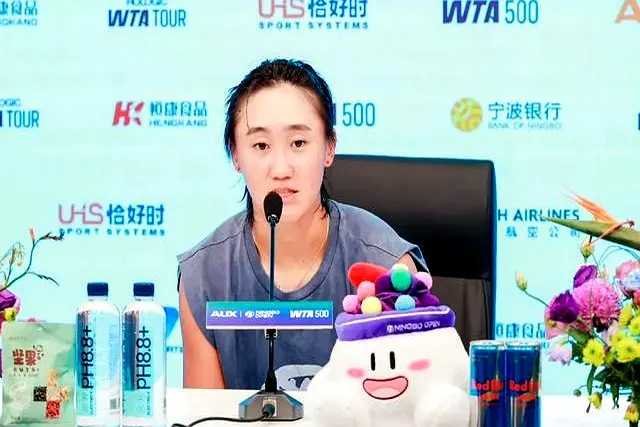 msn, 闪烁着坚定, 进行 msn, 闪烁着坚定, 进行